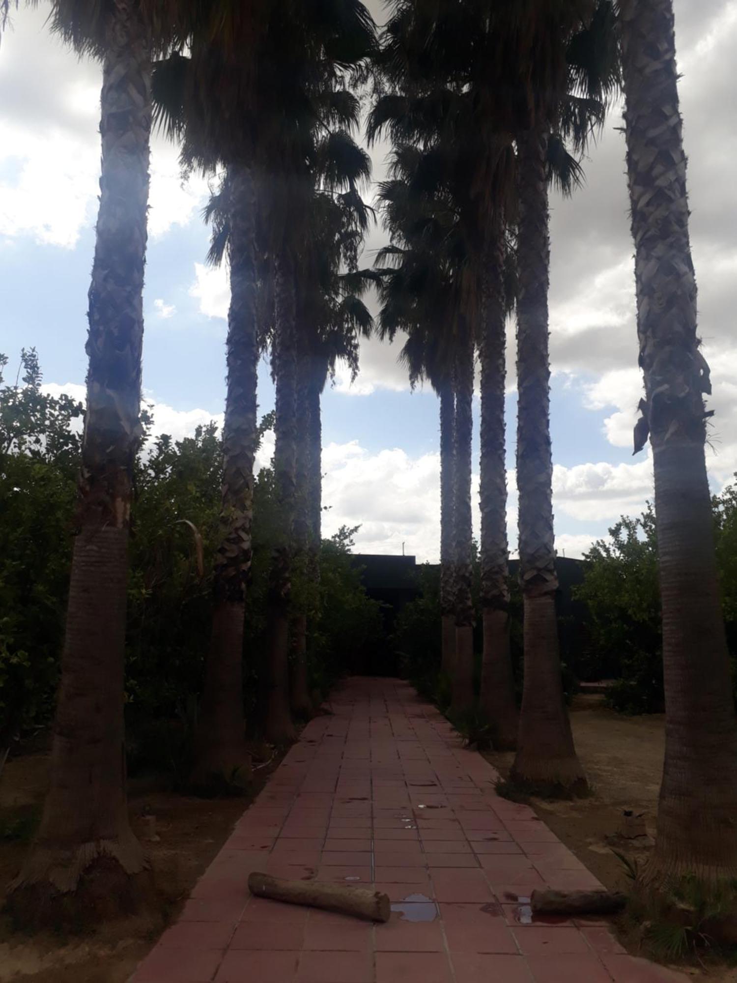 Dar Khedija Guest House El Kheriba Luaran gambar